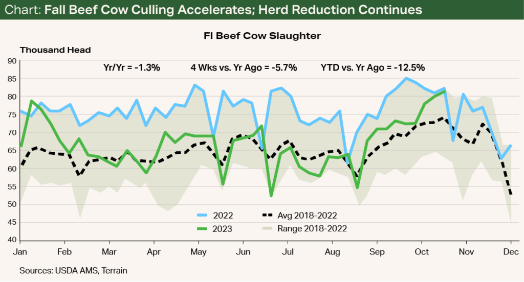 Chart - Fall Beef Cow Culling Accelerates; Herd Reduction Continues