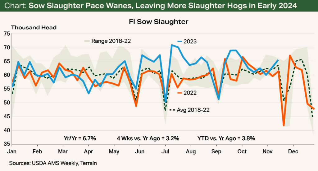 Chart - Sow Slaughter Pace Wanes, Leaving More Slaughter Hogs in Early 2024