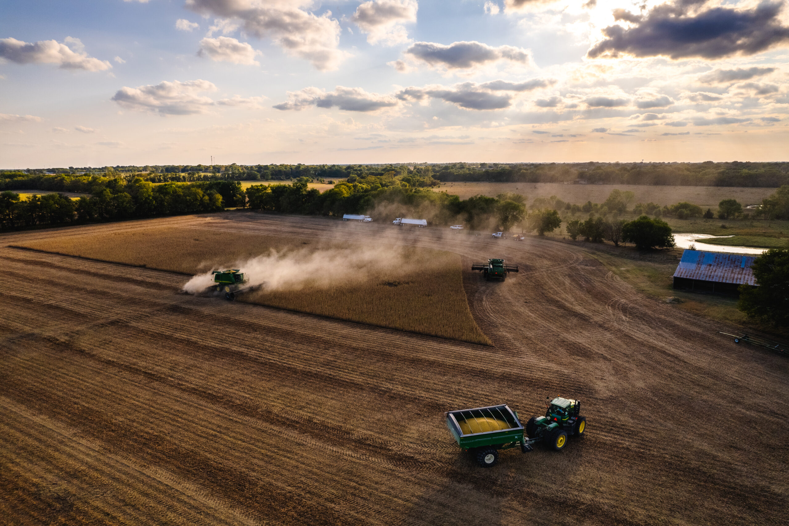 Terrain Soybean Demand Stays Strong in 2023 How Many Acres Will Follow?