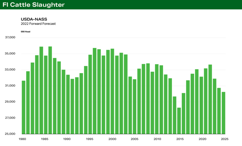 Terrain Chart 2 - Cattle FI Cattle Slaughter