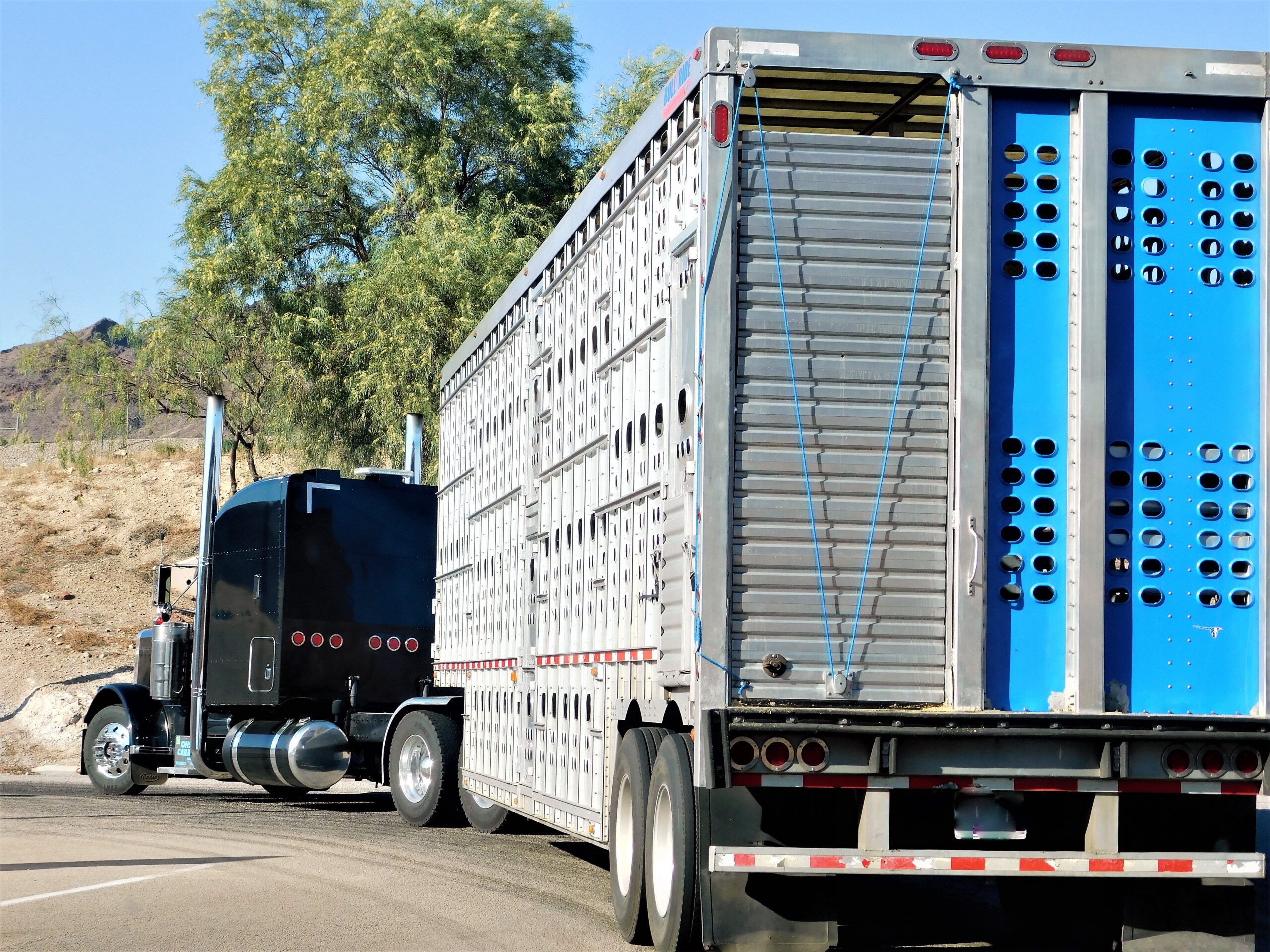 Terrain Livestock Transportation Costs