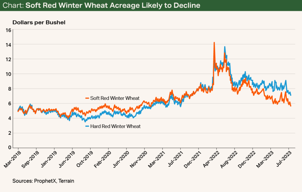 Chart - Soft Red Winter Wheat Acreage Likely to Decline Chart - Soft Red Winter Wheat Acreage Likely to Decline