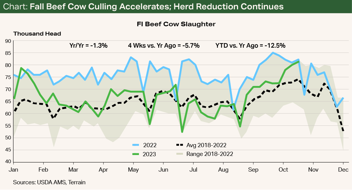 Chart - Fall Beef Cow Culling Accelerates Herd Reduction Continues Chart - Fall Beef Cow Culling Accelerates Herd Reduction Continues
