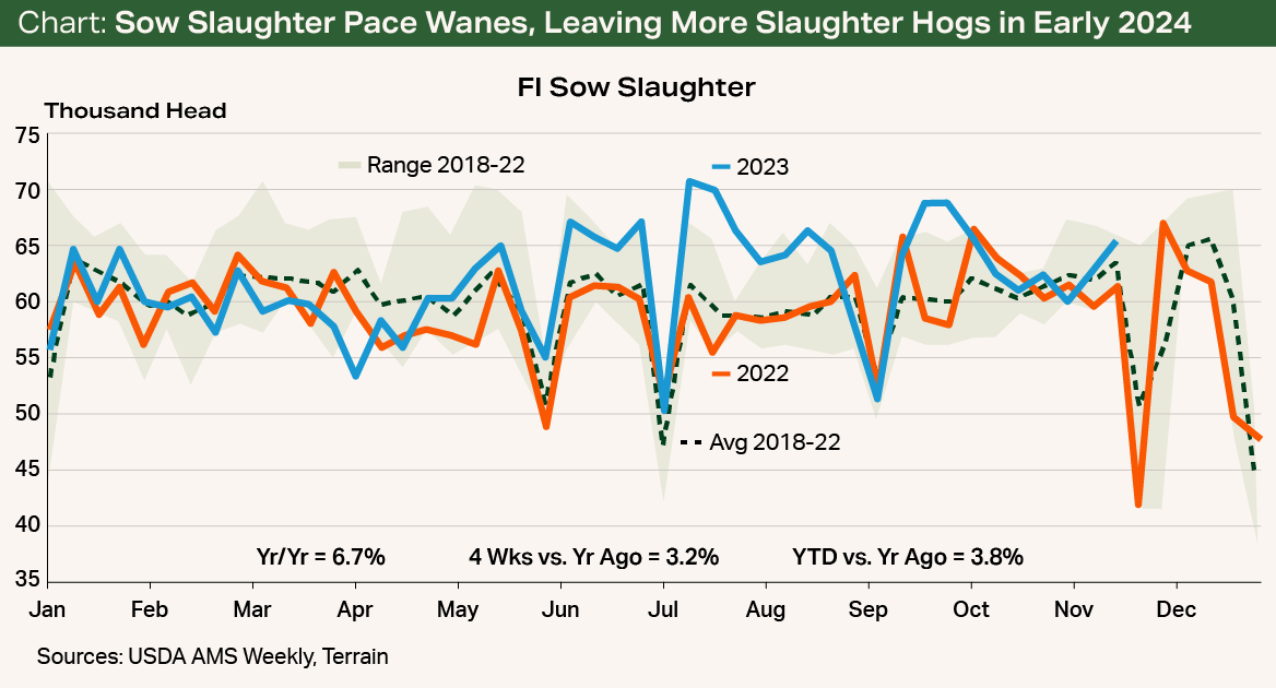 Chart - Sow Slaughter Pace Wanes, Leaving More Slaughter Hogs in Early 2024 Chart - Sow Slaughter Pace Wanes, Leaving More Slaughter Hogs in Early 2024
