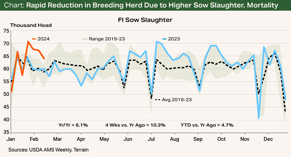 Chart - Rapid Reduction in Breeding Herd Due to Higher Sow Slaughter, Mortality Chart - Rapid Reduction in Breeding Herd Due to Higher Sow Slaughter, Mortality