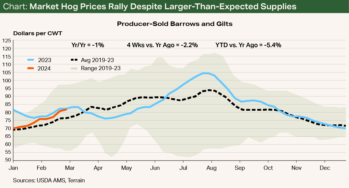 Chart - Market Hog Prices Rally Despite Larger-Than-Expected Supplies Chart - Market Hog Prices Rally Despite Larger-Than-Expected Supplies