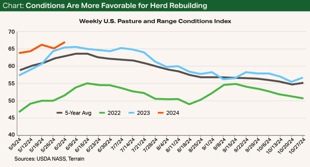 Chart - Conditions Are More Favorable for Herd Rebuilding