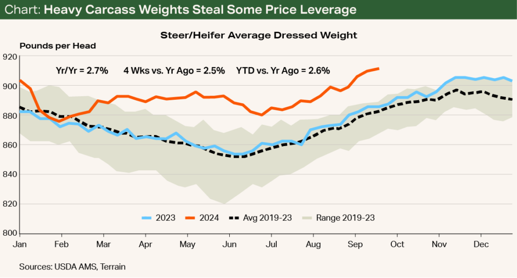 Chart - Heavy Carcass Weights Steal Some Price Leverage