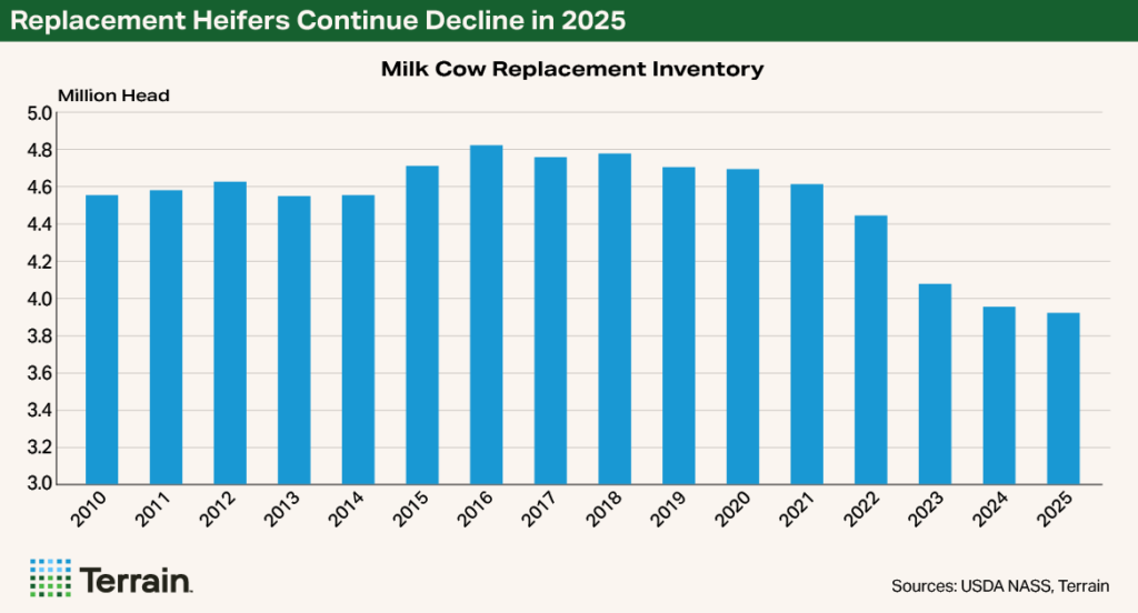 NCBA Chart - Replacement heifers Continue Decline in 2025