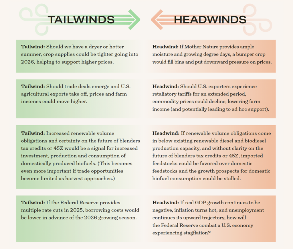Tailwinds vs. Headwinds graphic showing the positive and negative forces facing the industry Tailwinds vs. Headwinds graphic showing the positive and negative forces facing the industry