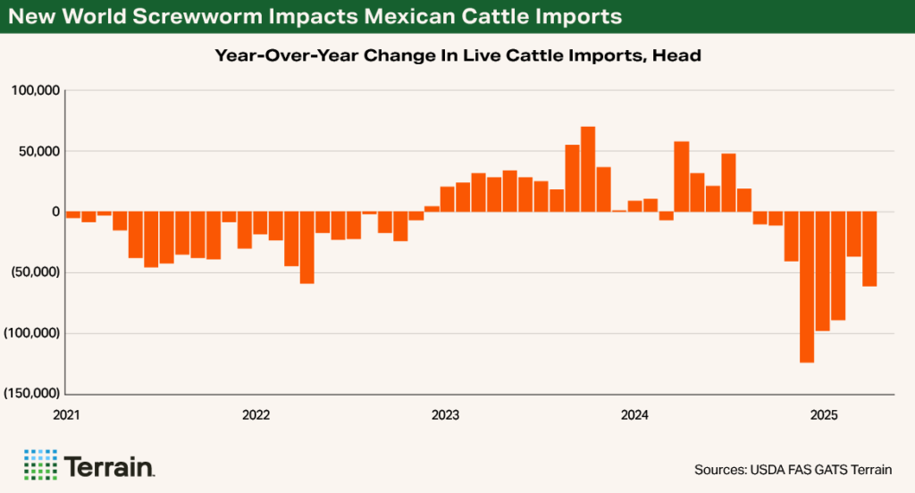 Chart 2 Beef Q3 2025 - New World Screwworm Impacts Mexican Cattle Imports