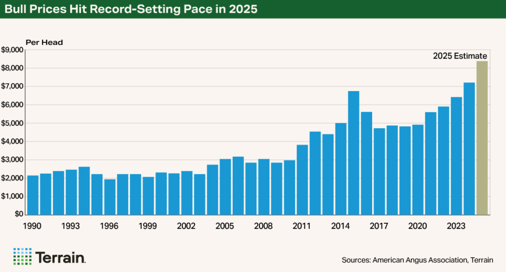 Chart 1 NCBA September 2025 - Bull Prives Hit Record-Setting Pace in 2025