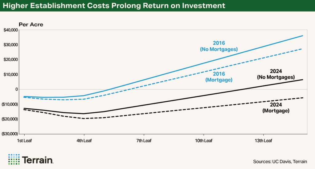 Q1 2026 Almonds Chart - Higher Establishment Costs Prolong Return on Investment