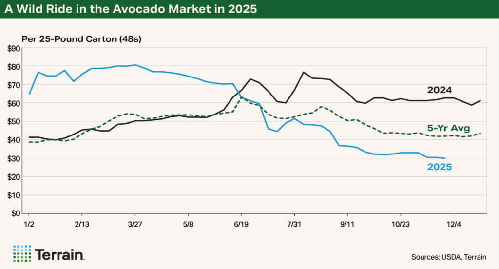 Q1 2026 Avocado Chart - A Wild Ride in the Avocado Market in 2025
