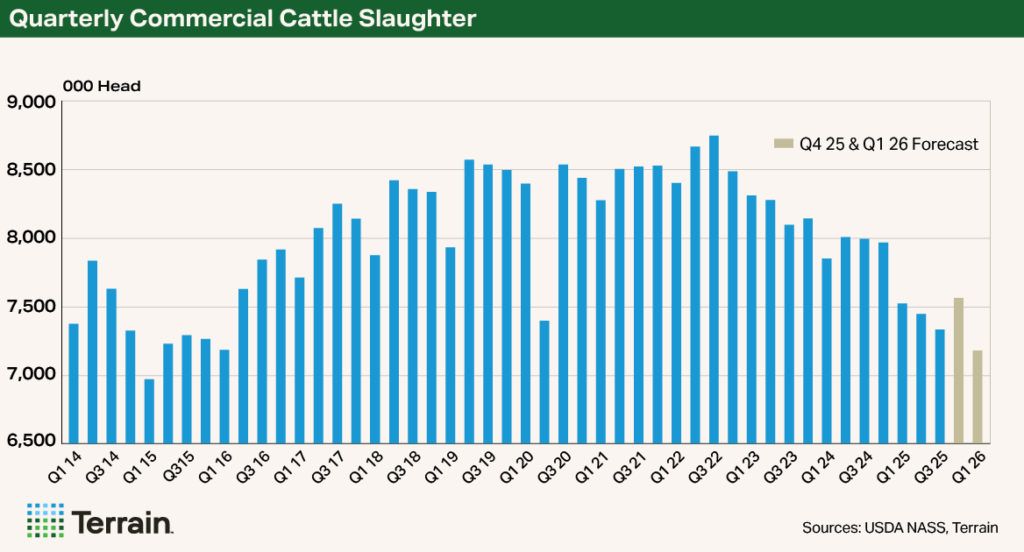 Q1 2026 Beef Chart - Quarterly Commercial Cattle Slaughter