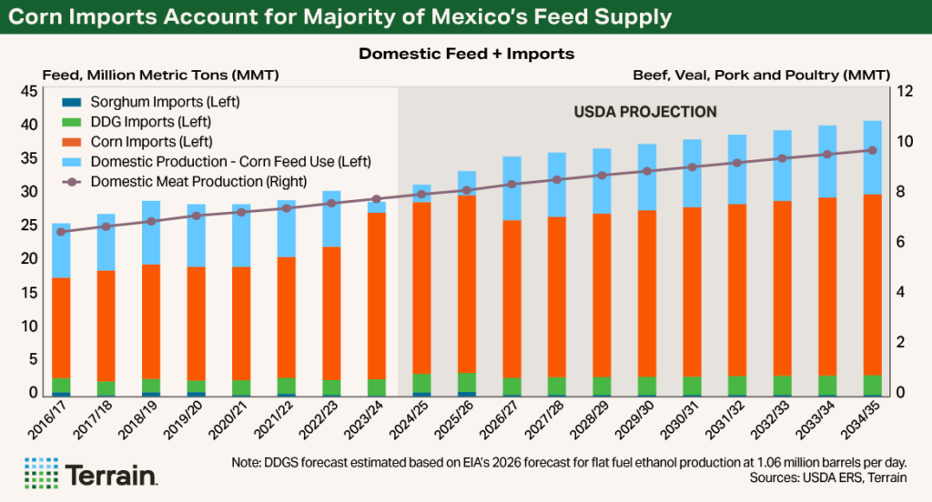 Mexico Report 2025 - Chart 2 - Corn Imports Account for Majority of Mexico's Feed Supply