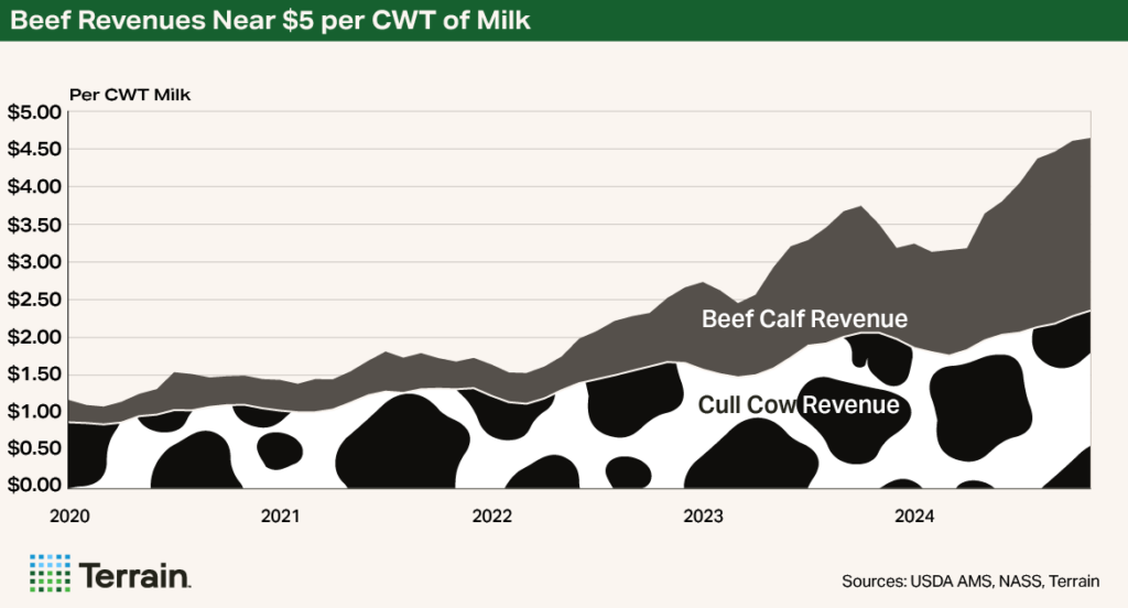 Q1 2026 Dairy Chart 2 - Beef Revenues Near $5 per CWT of Milk
