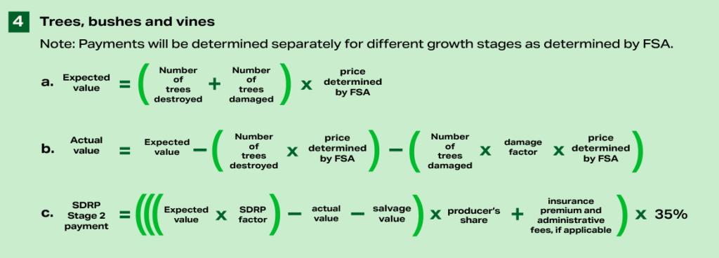 SDRP-2 Formula Set 1d - Trees, bushes and vines