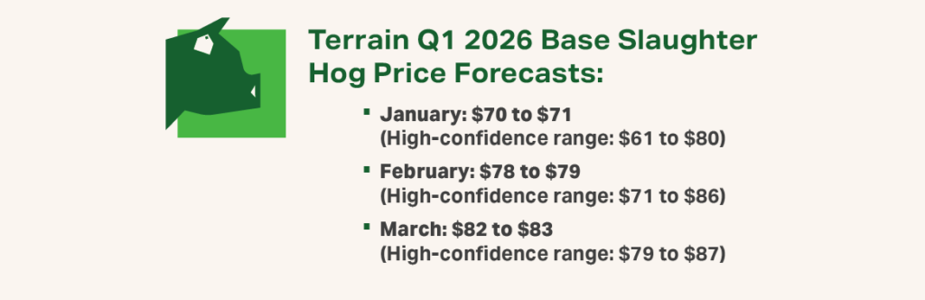 Q1 2026 Swine Infographic 1 - Terrain Q1 2026 Base Slaughter Hog Price Forecast