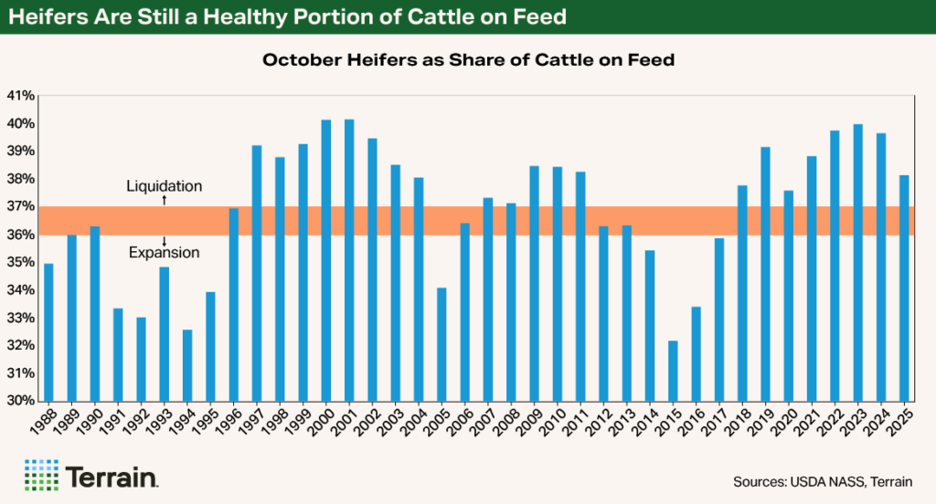 NCBA Chart - Heifers Are Still a Healthy Portion of Cattle on Feed