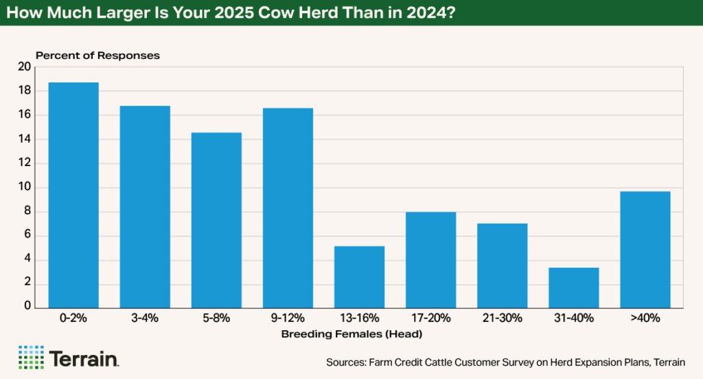 Cow-Calf Survey Chart 4 - How Much Larger Is Your 2025 Cow Herd Than in 2024?