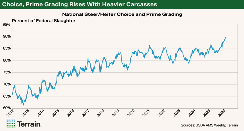 Chart 1 Beef Q2 2026 - Choice, Prime Grading Rises With Heavier Carcasses
