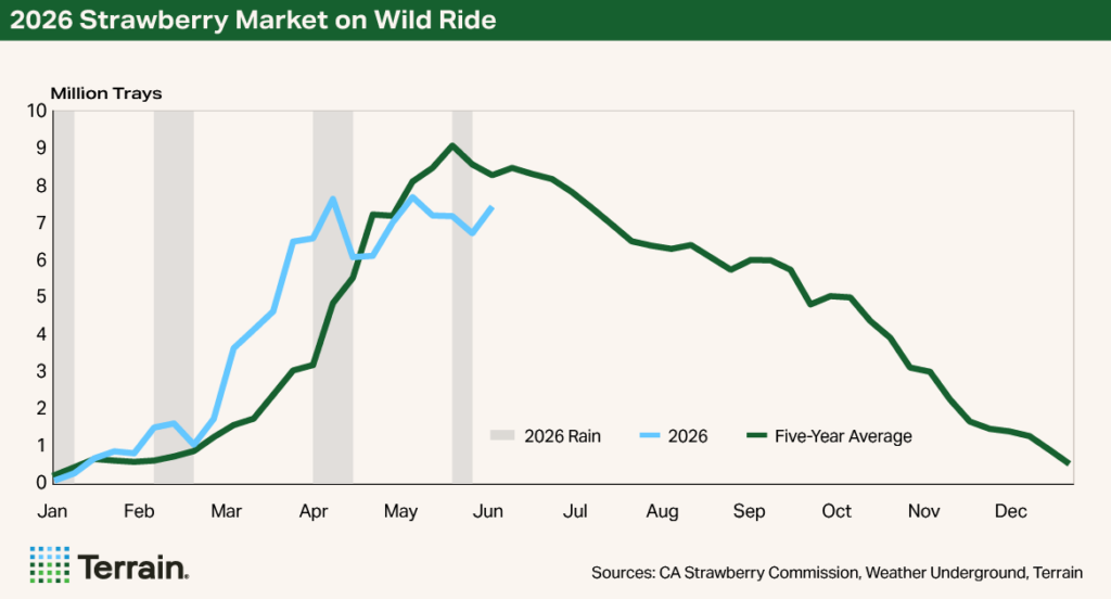 Chart Strawberries Q3 2026 - 2026 Strawberry Market on Wild Ride